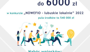 Aktualność: „NOWEFIO – lubuskie lokalnie” mikrodotacje dla młodych organizacji i grup nieformalnych w województwie lubuskim – zaproszenie na szkolenie online-1860