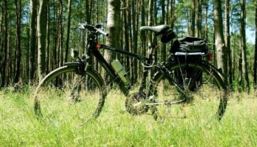 Aktualność: Zapraszamy na prezentację o turystyce rowerowej w gminie Kargowa-8223